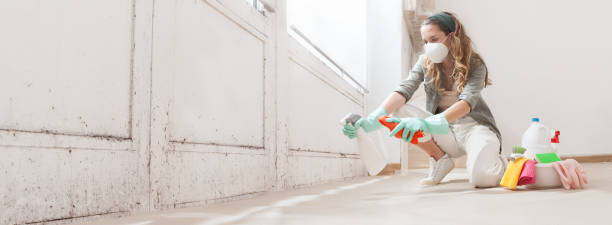 Why You Should Choose Our Mold Remediation Services in Montrose, NY